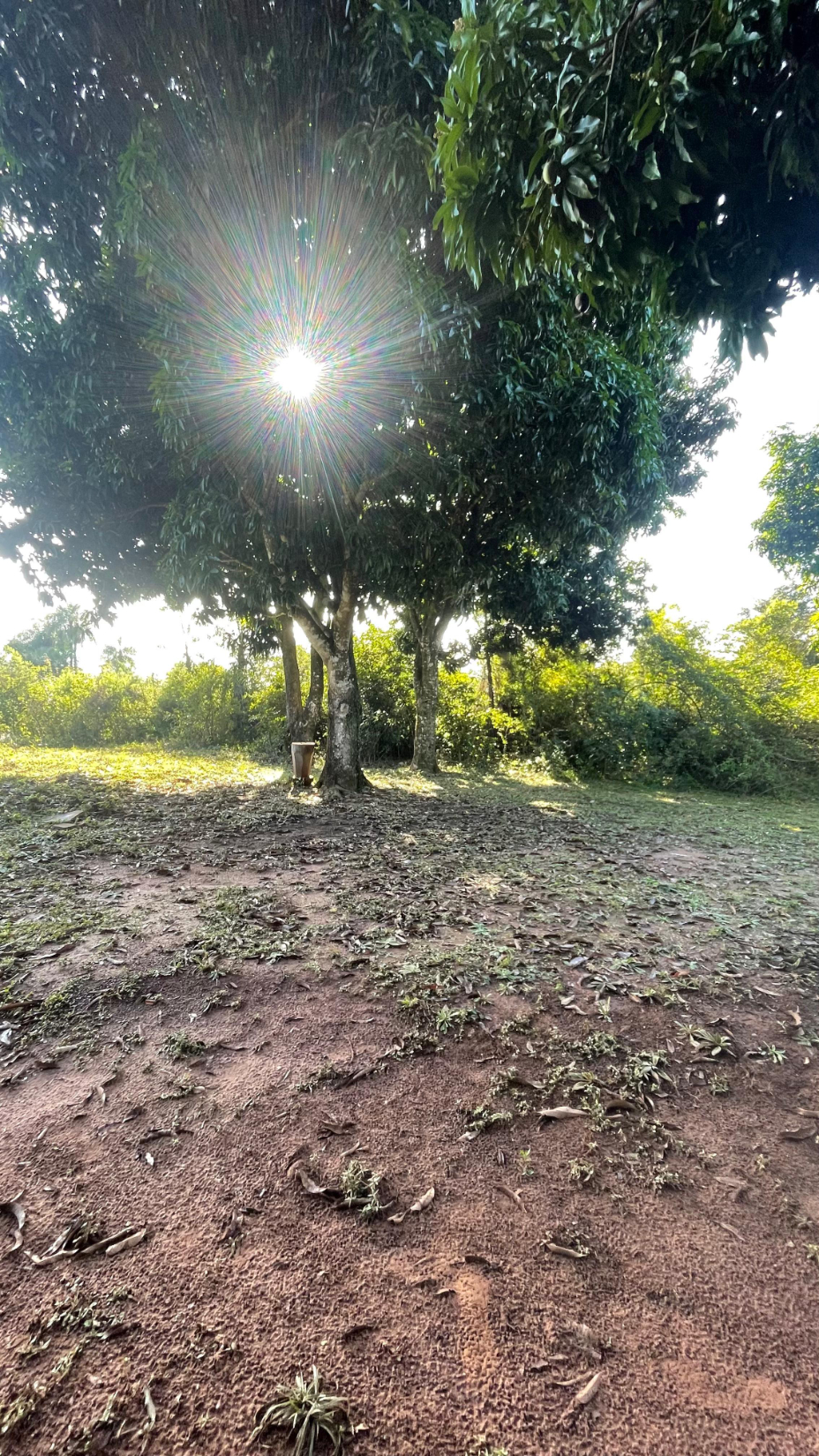 Vendo Propiedad De 11 Hectáreas En Eusebio Ayala - Cordillera — foto 3