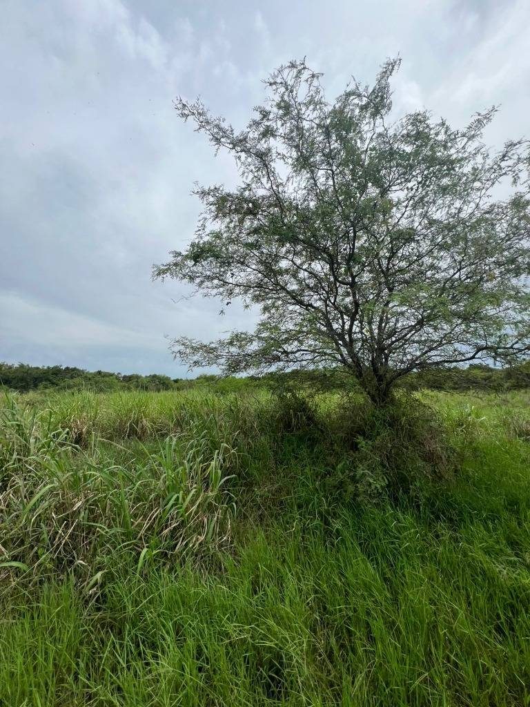 VENDO TERRENO EN URBANIZACION SURUBI I 2 — foto 2