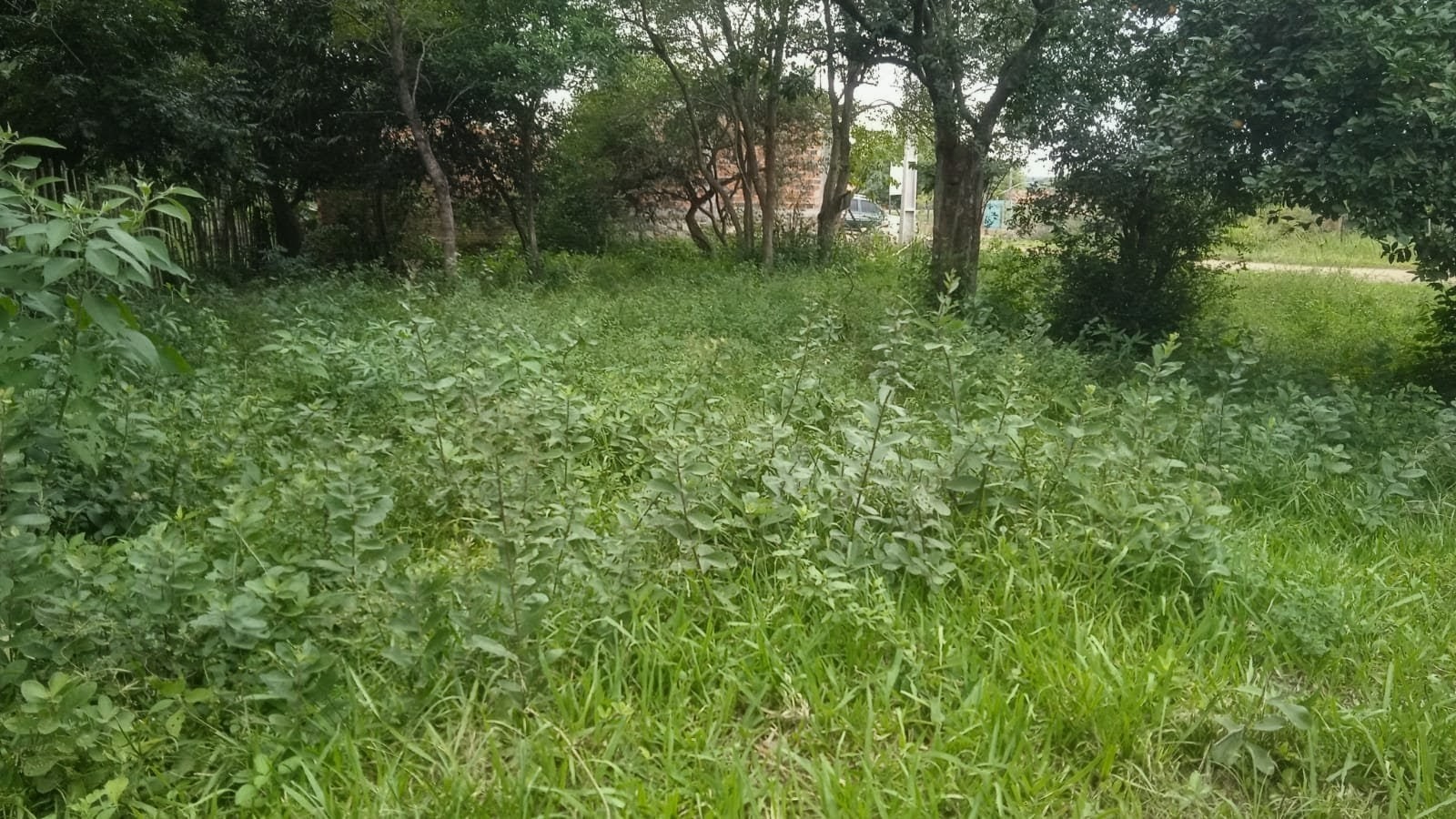 En venta hermoso terreno en Nueva Colombia — foto 2