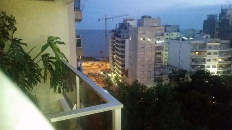 Punta Carretas - Excelente Planta De Categoría - 220 M2 Totales