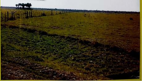 Vendo Ganadera Zona Gral Diaz Chaco Paraguayo