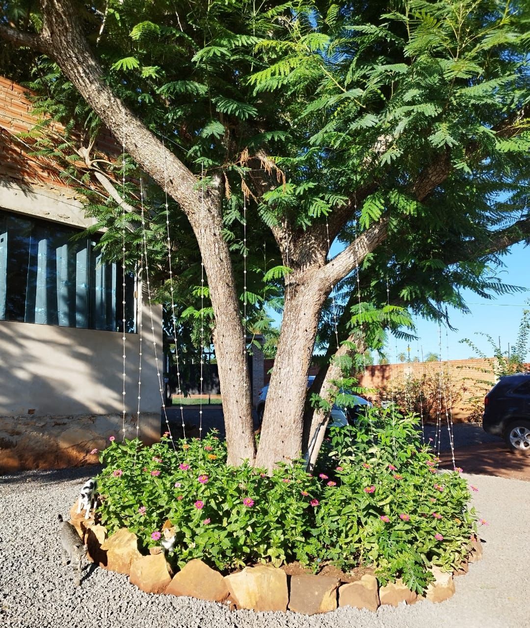 Venta De Casa Con Amplio Terreno — foto 2