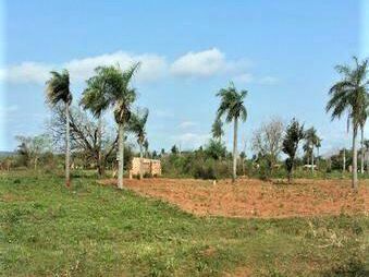 Se Venden 6 Terrenos De 2.203 M2