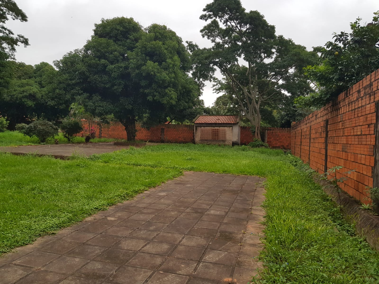 Terreno en Marian Roque Alonso — foto 2