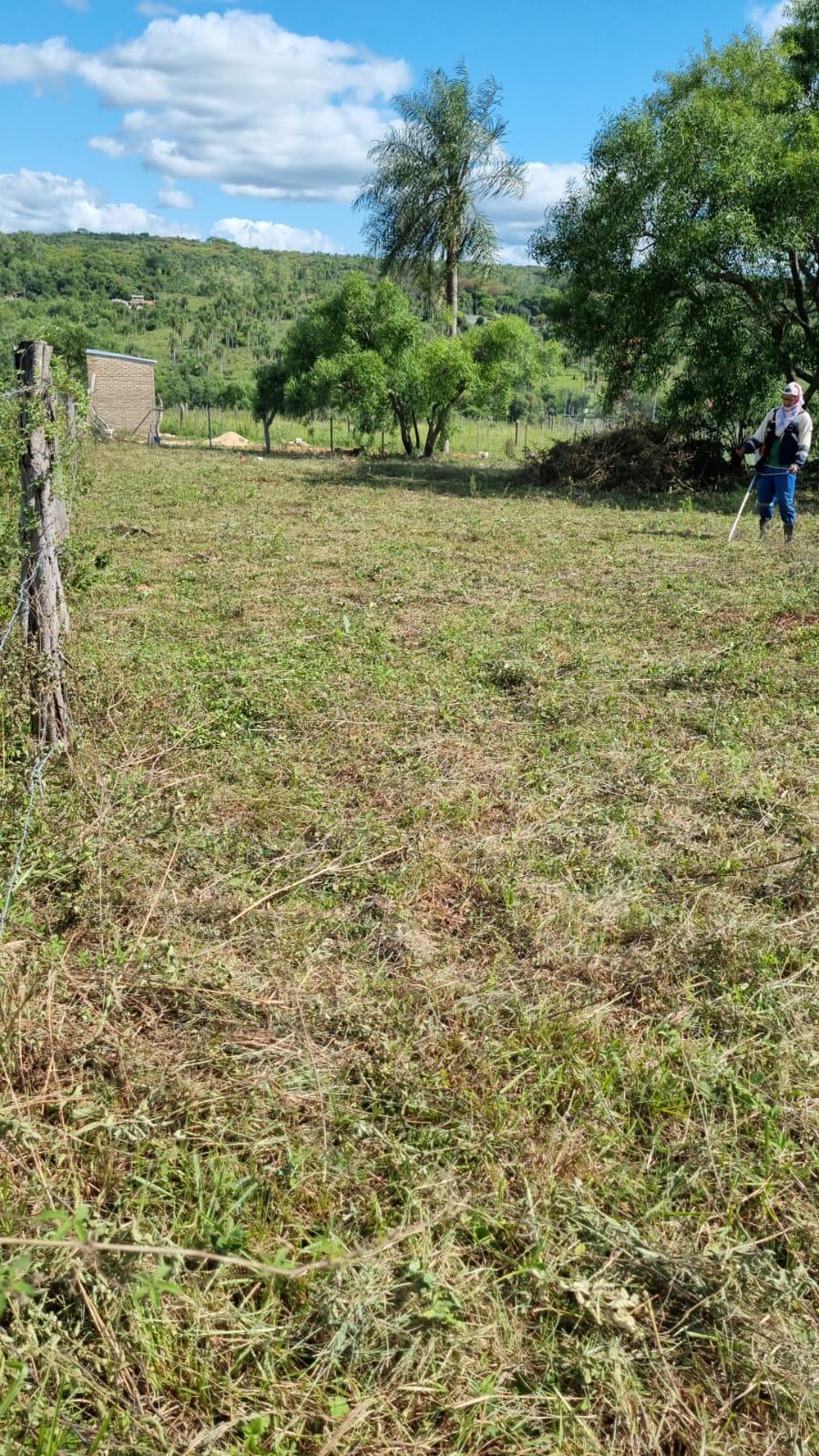 OPORTUNIDAD DE INVERSIÓN — TERRENOS EN PIRIBEBUY — foto 3