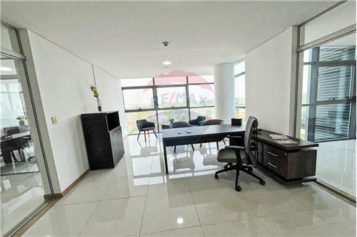 ALQUILO OFICINA EN EDIFICIO TRADING PARK — foto 3