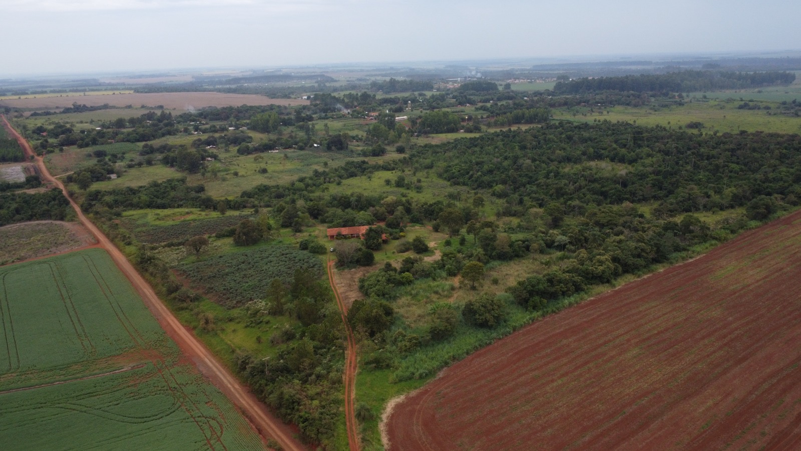 VENDO 40 HECTAREAS EN MINGA GUAZU KM 28 ALTO PARANÁ — foto 3