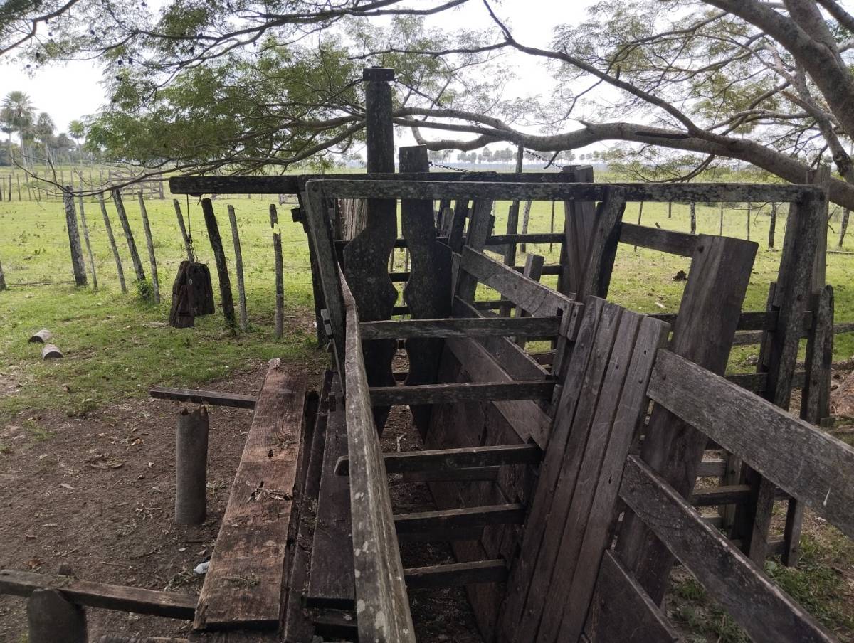 VENTA - Campo 1.215 ha ganadero en Tacuaras - Pilar, Ñeembucú — foto 3