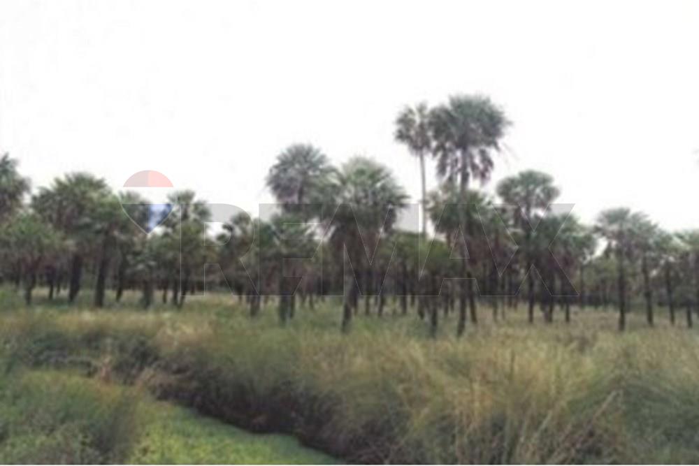 VENTA - TERRENO 4077 HAS - GRAL. BRUGUEZ, VILLA HAYES, CHACO PYO — foto 3