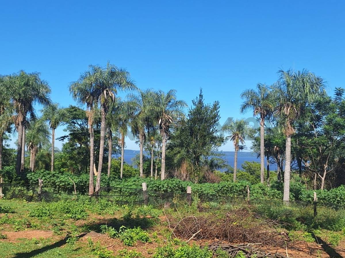 hectareas en venta en san bernardino | para quinta o loteamiento — foto 3