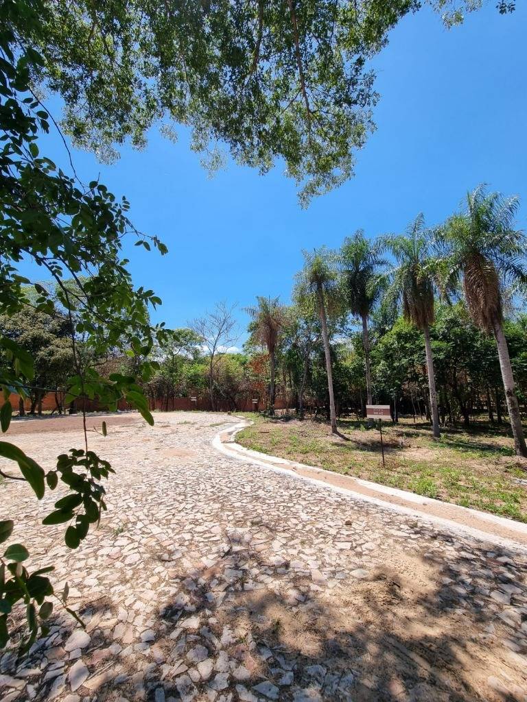 En venta, Terreno en Piedras Blancas - San Bernardino — foto 2