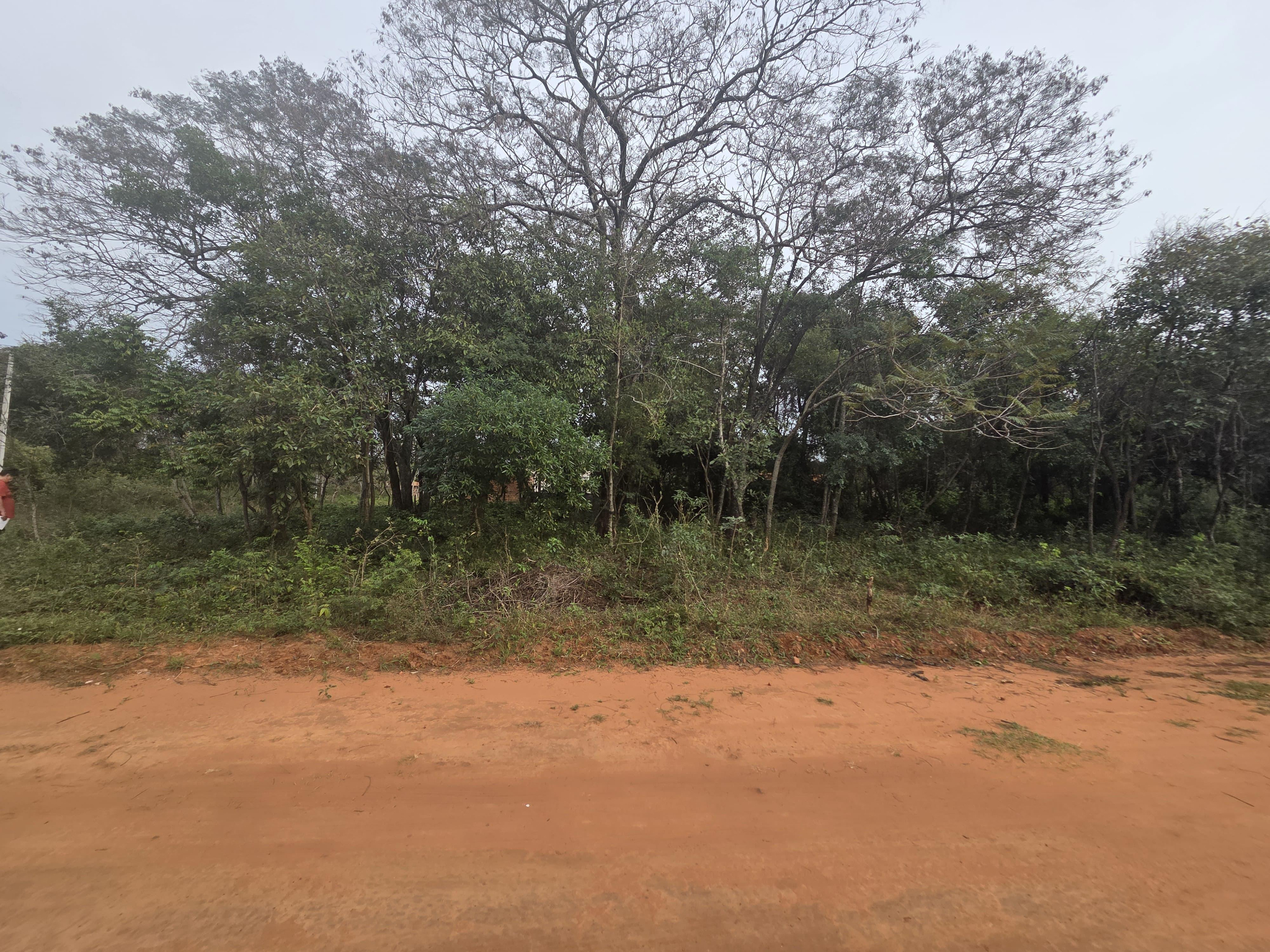 VENDO DOS TERRENOS EN LUQUE ZONA KA AGUY — foto 2