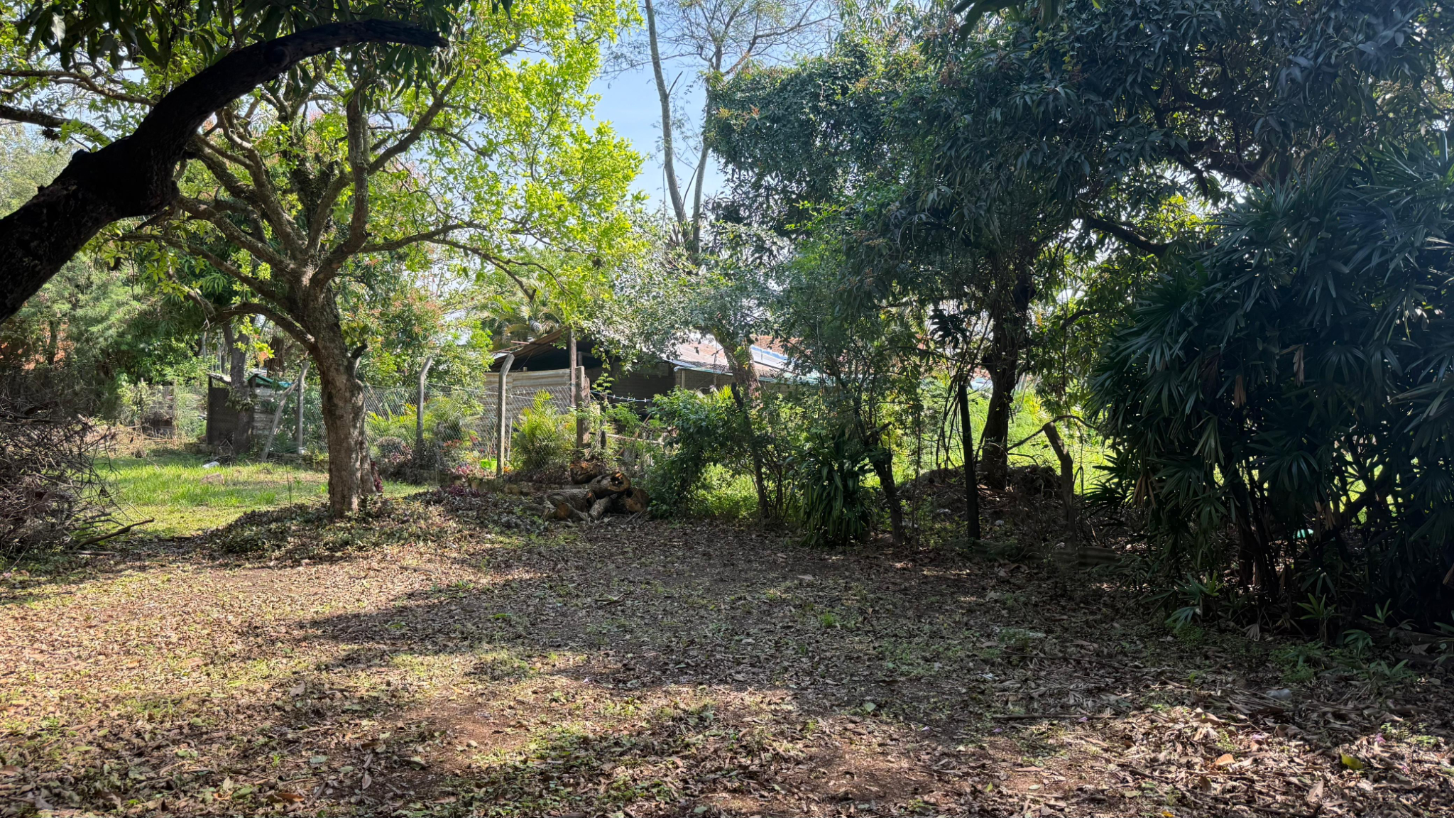 VENDO TERRENO DE 1182 M2 EN LA ENTRADA DE PALMA LOMA - LUQUE — foto 2