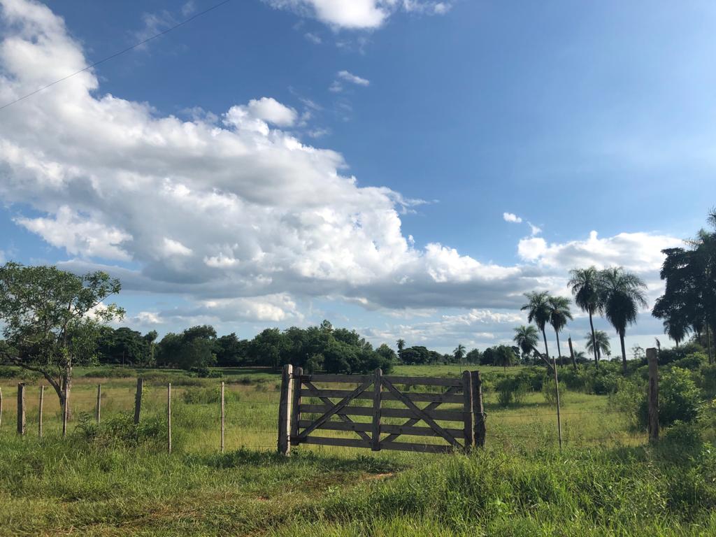 Vendo Propiedad de 52 Ha. En Ybycui sobre ruta