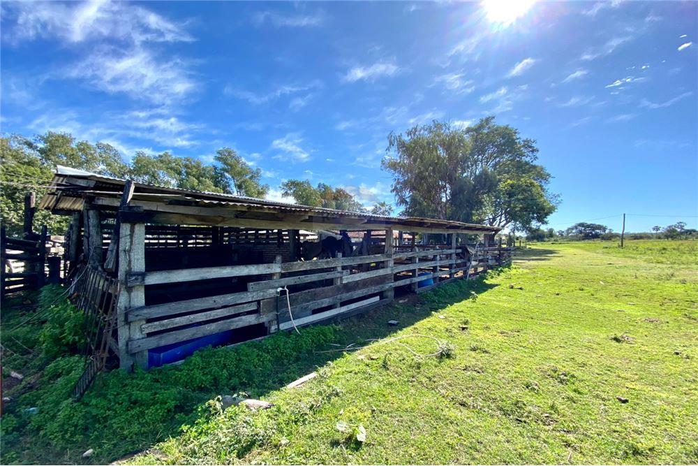 CAMPO EN YAGUARON DE 2000 HECTAREAS — foto 2