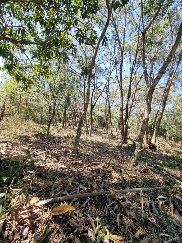VENDO TERRENO EN SAN BERNARDINO — foto 3