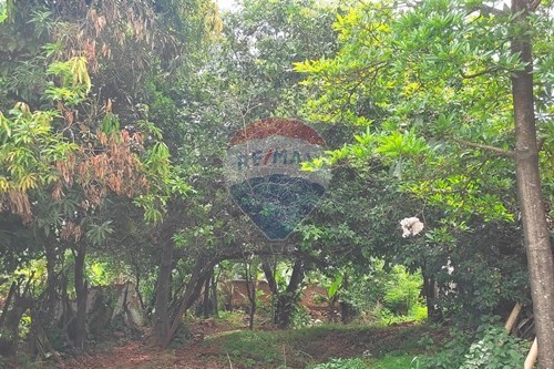 VENDO TERRENO EN ÑEMBY — foto 2