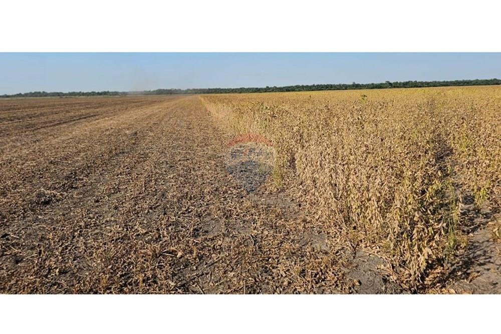 VENTA DE CAMPO-SAN PEDRO DEL PARANA 600 HECTAREAS — foto 2