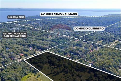 Vendo Terreno de 4 hectáreas en San Bernardino Bº Cristóbal Colón — foto 2
