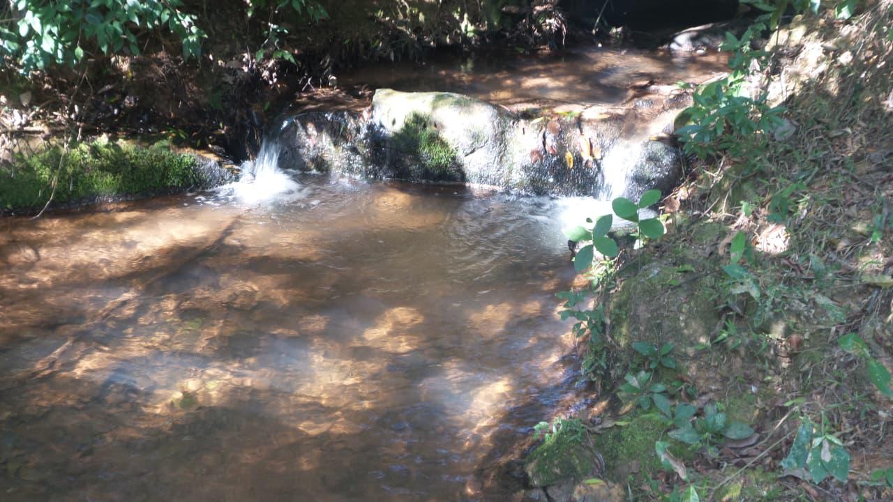 EN VENTA 60 HECTÁREAS EN CURUGUATY- SANTA ROSA. PARAGUAY. — foto 3