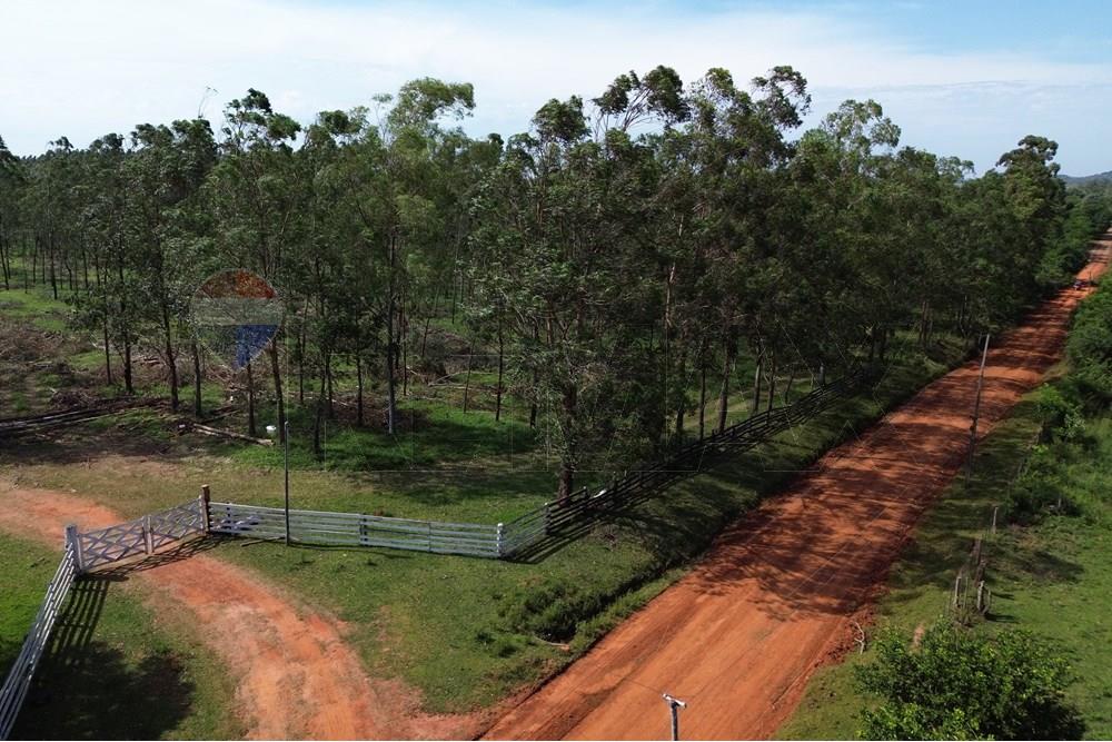 Estancia campo venta Coronel Oviedo 203Ha — foto 3