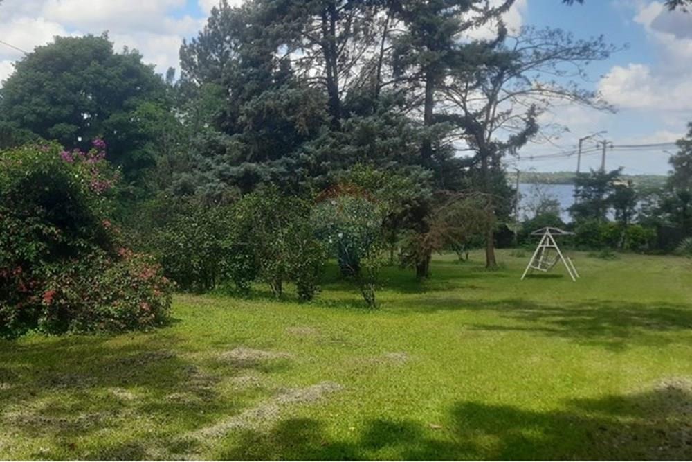 VENDO 6 HECTAREAS EN COLONIA SANTO DOMINGO ITAPUA — foto 3