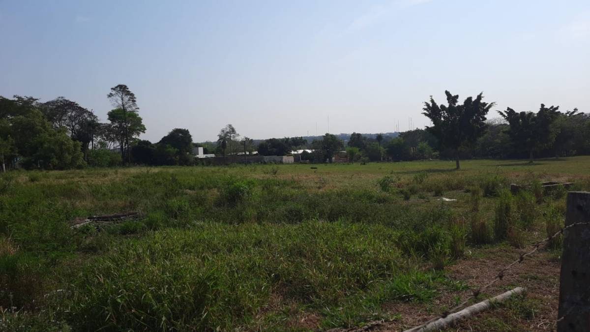 ALQUILO HERMOSO TERRENO EN VILLA ELISA — foto 3