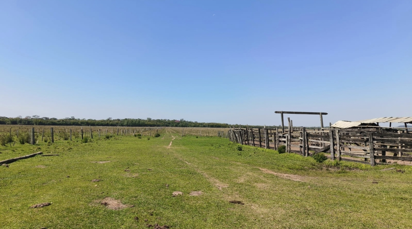 VENDO 70 HECTAREAS EN PARAGUARI — foto 3