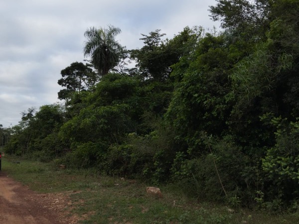 PROPIEDAD RURAL EN NUEVA COLOMBIA, COMPAÑIA INGLES CUE — foto 2