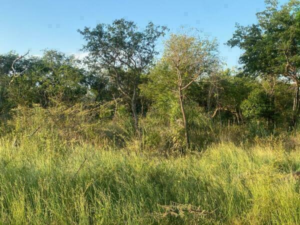 VENDO TERRENO EN SAN BERNARDINO PARA CASA QUINTA. — foto 2