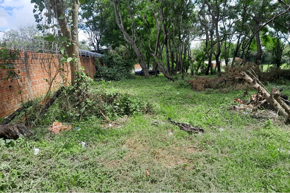 VENDO TERRENO EN CAPIATA — foto 3
