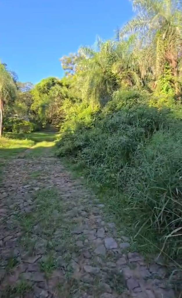 VENDO HERMOSO TERRENO TOTALMENTE ARBOLADO EN LA CORDILLERA DE SAN BER. — foto 2
