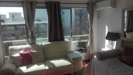 Apartamento Monoambiente En Pocitos