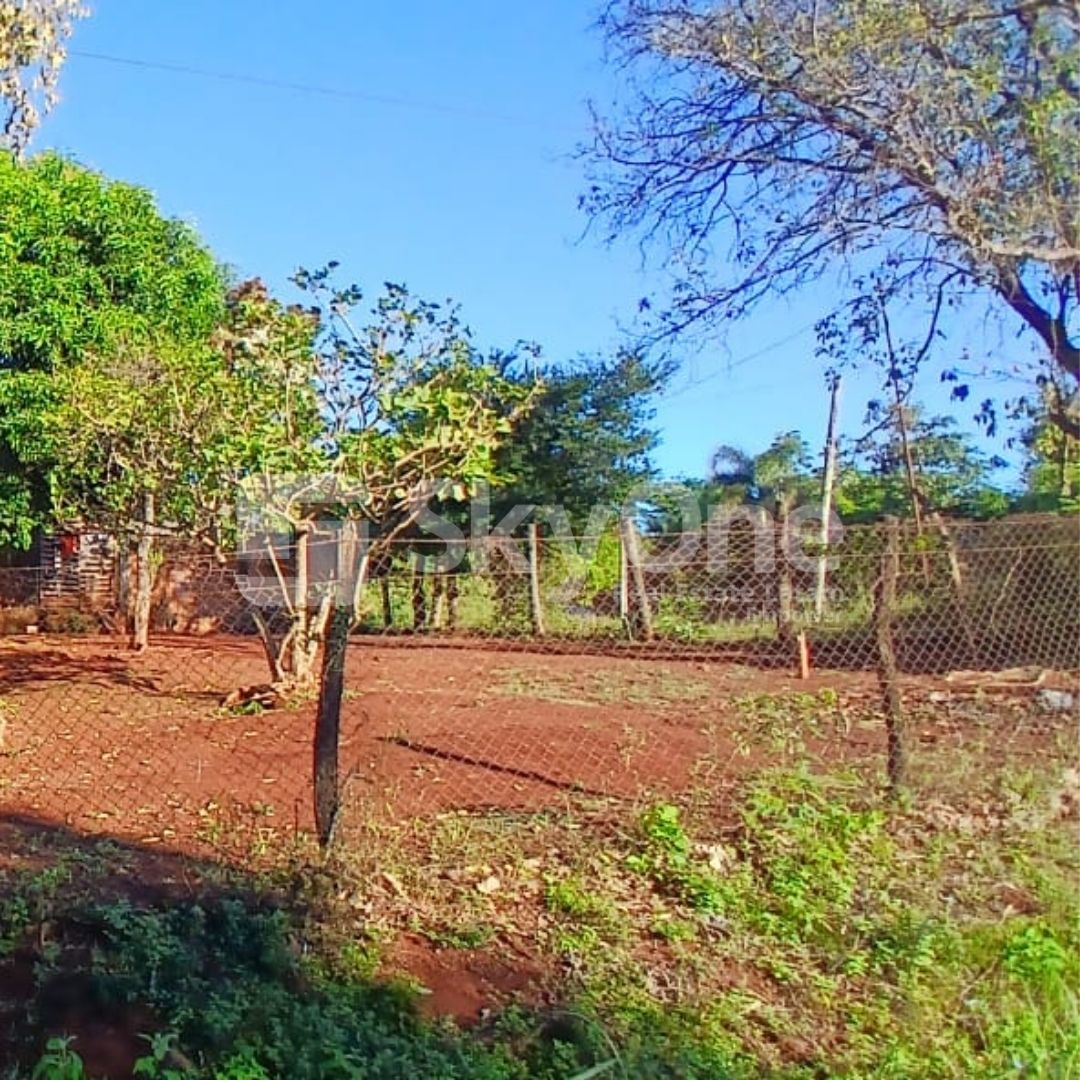 VENDO DOS HERMOSOS TERRENOS EN CIUDAD DEL ESTE FRACCIÓN YBYCUÍ — foto 3