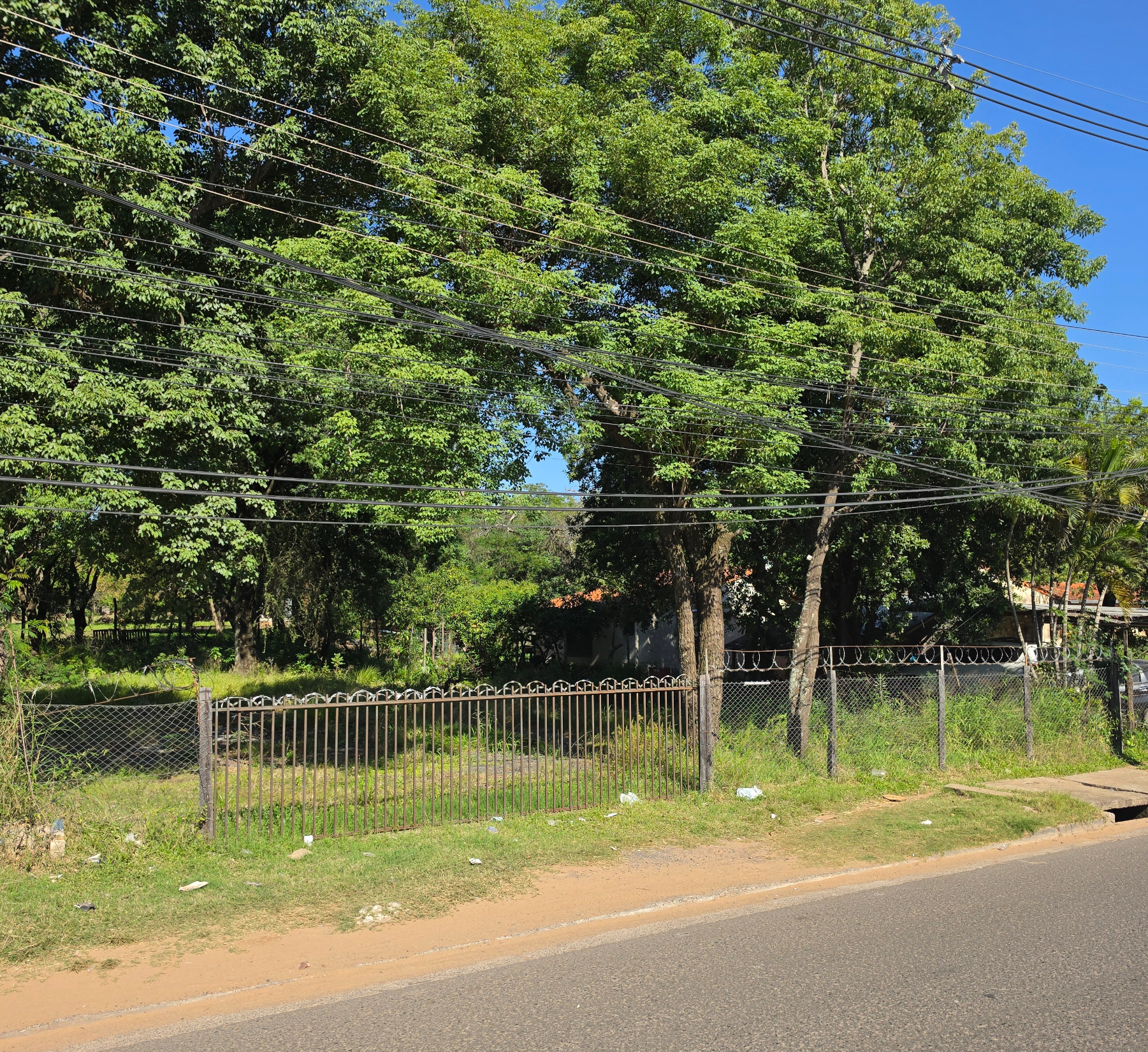 Lote Premium Sobre La Transchaco — foto 3