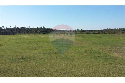Estancia/Campo-Venta-PY Alto Paraguay Fuerte Olimpo ZONA TORO PAMPA — foto 2