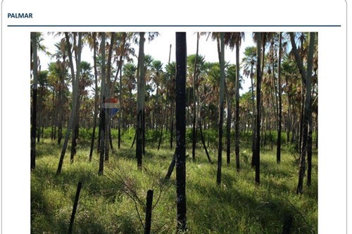 Estancia/Campo-Venta-PY Presidente Hayes General José María Bruguéz — foto 2