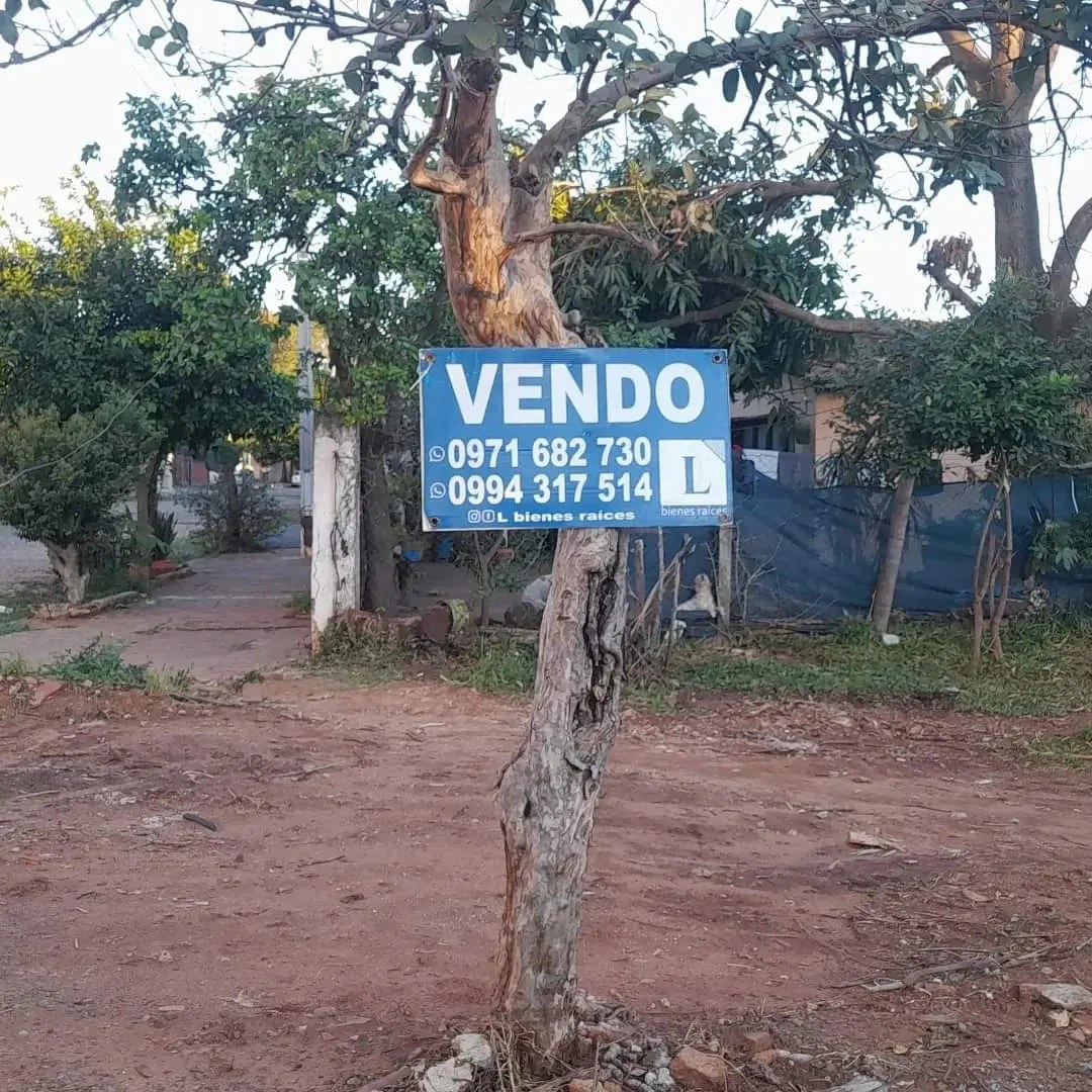 Vendo Terreno En San Miguel San Lorenzo — foto 2