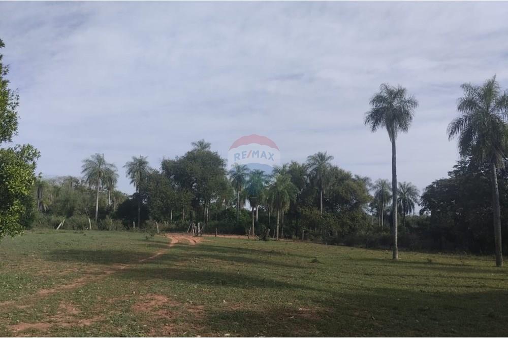 VENDO 10 HAS EN NUEVA COLOMBIA — foto 3