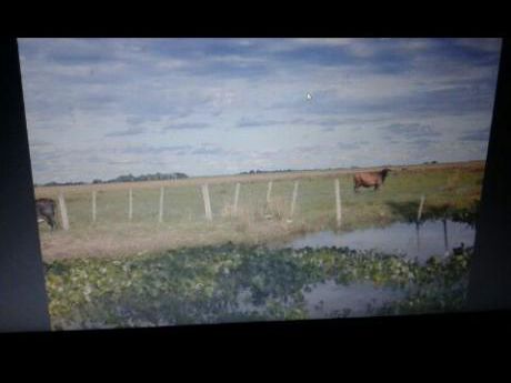 Campo De 117 Hectareas San Patricio