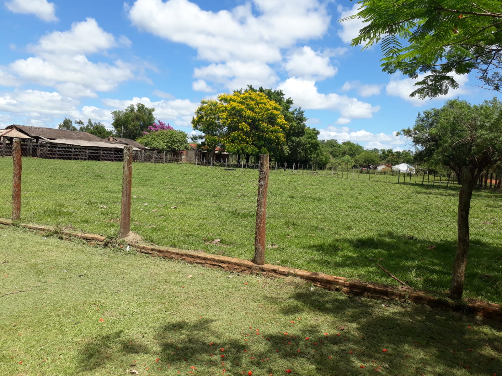 VENDO PROPIEDAD RURAL EN ARROYOS Y ESTEROS ISLA GUAZU — foto 3