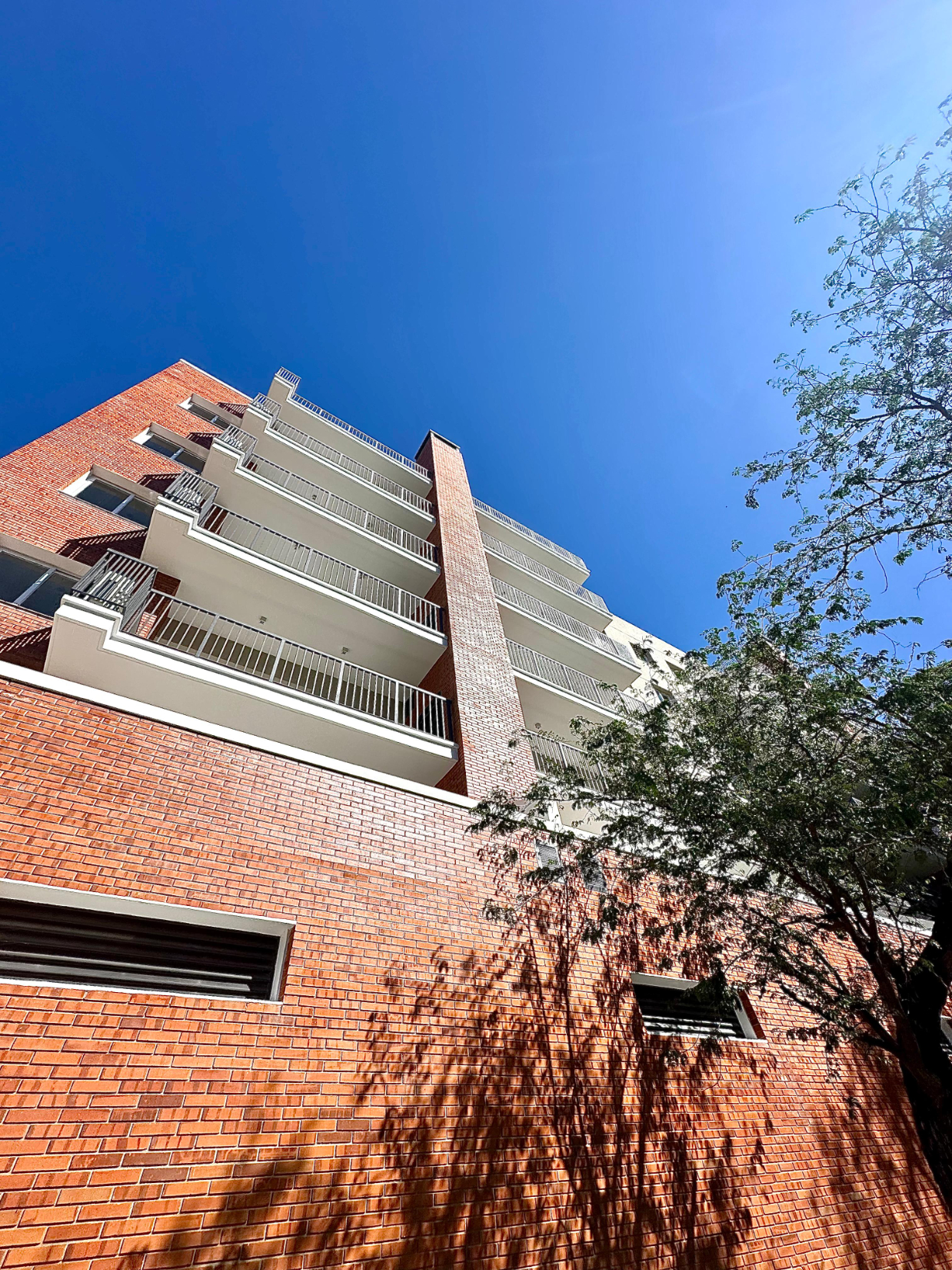 DEPARTAMENTO ALQUILER LOMA PYTA — foto 2