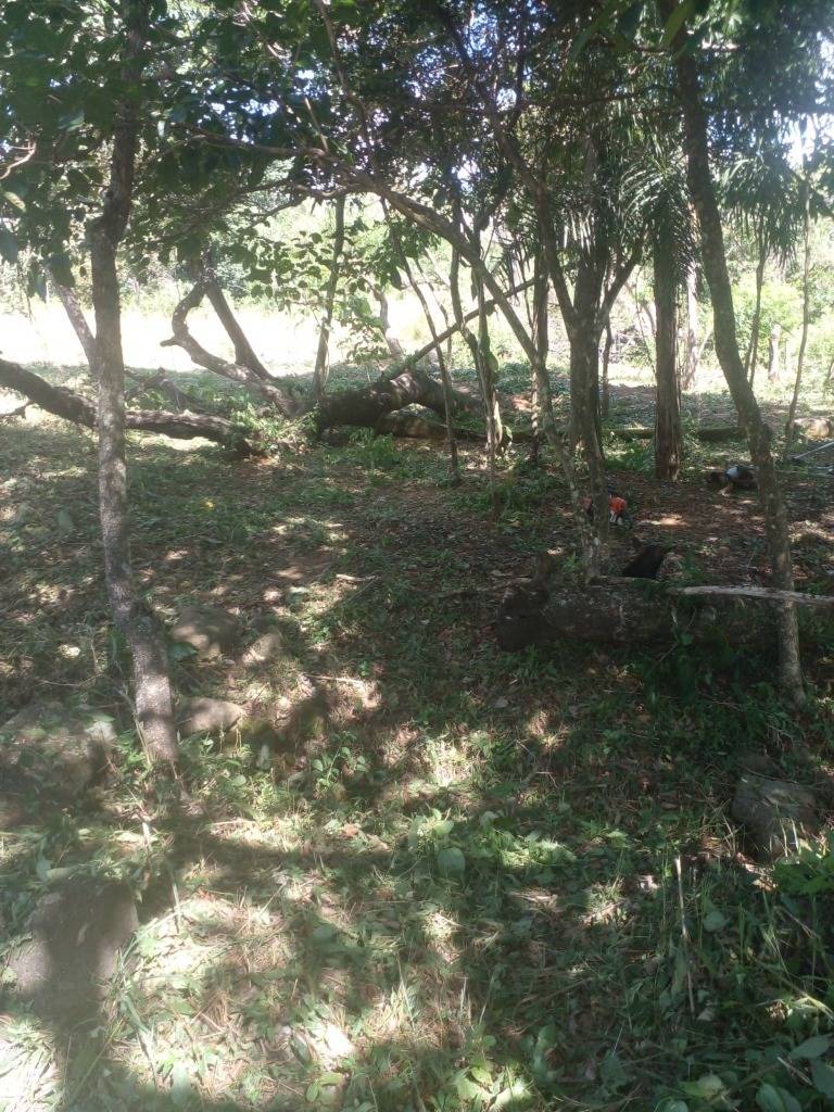 VENDO TERRENO CON VISTA AL LAGO DE SAN BERNARDINO — foto 2