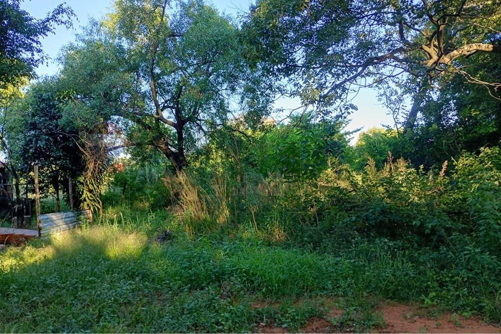 En Venta Terreno Luque — foto 2