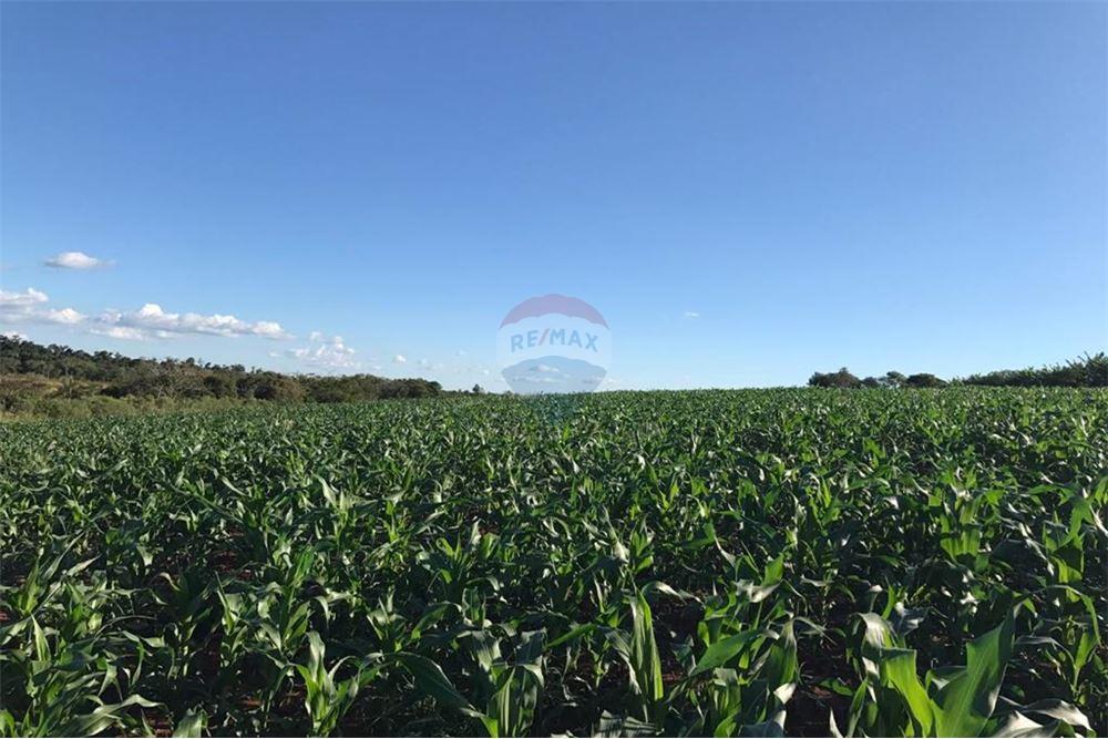 Estancia/Campo - Alquiler - Minga Guazú, Paraguay — foto 3