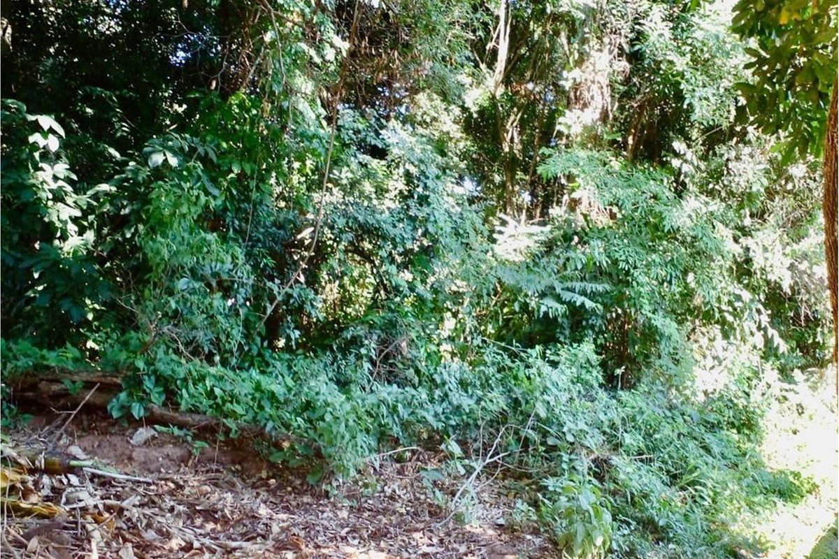 TERRENO EN VENTA - PIRIBEBUY - CORDILLERA — foto 2