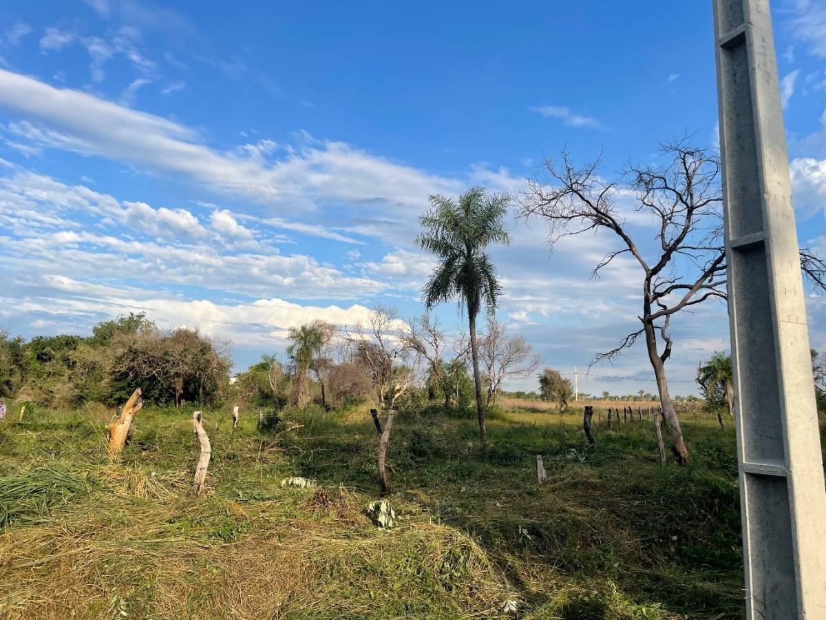 EN VENTA 2 TERRENOS JUNTOS SOBRE RUTA LUQUE-SANBER ZONA CIERVO CUA — foto 3