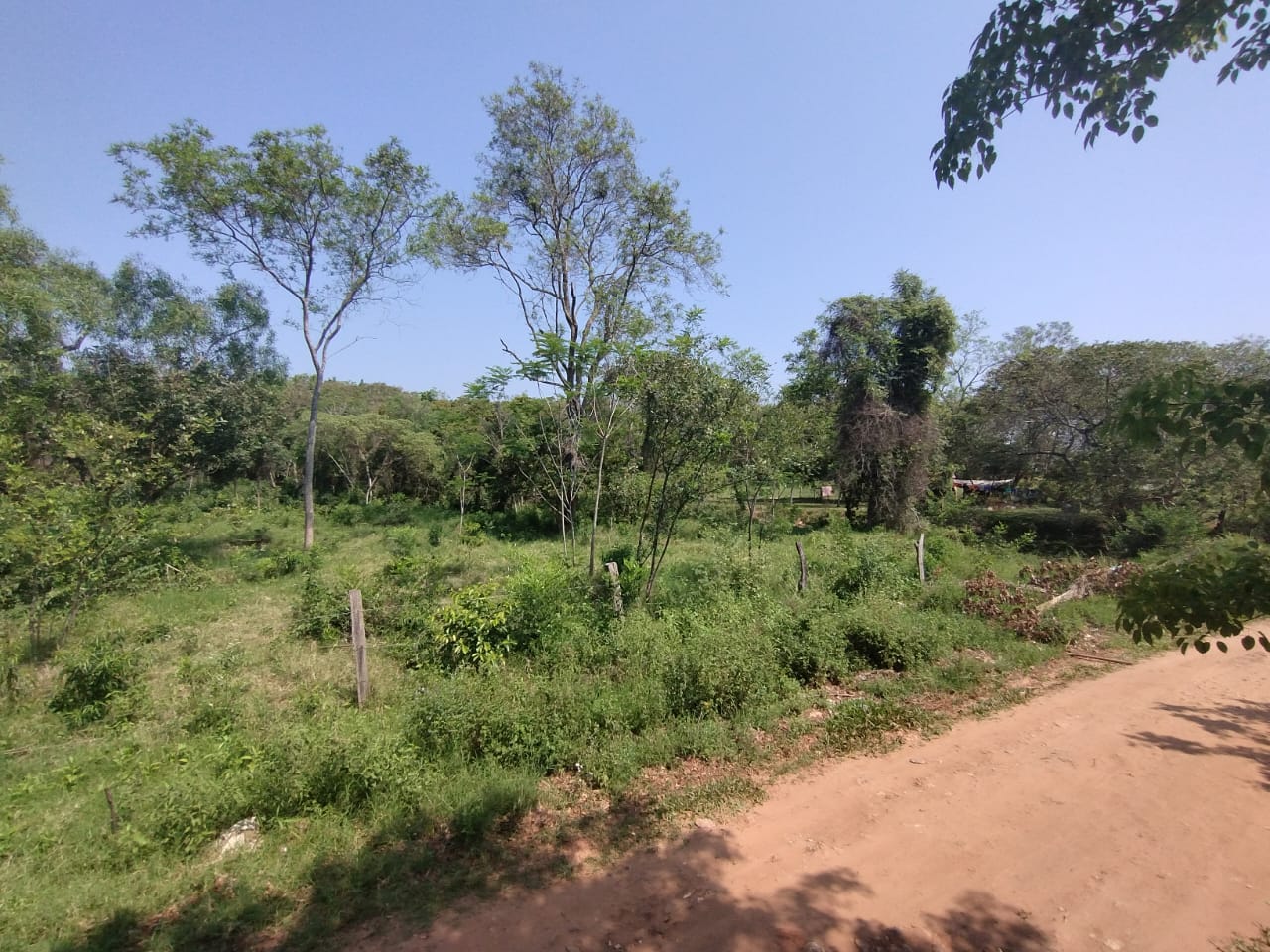 Terreno con arroyo Piribebuy — foto 3