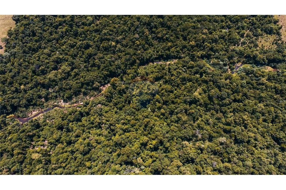VENDO CAMPO FERTIL AGROGANADERO EN CORONEL OVIEDO — foto 2