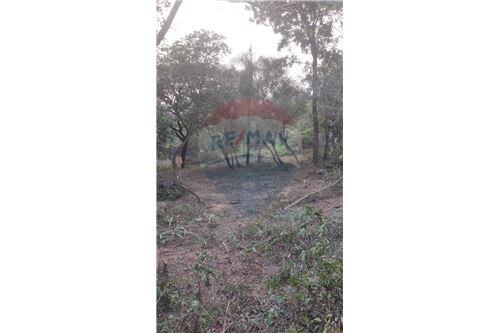 Terreno - Venta - Paraguay Cordillera San Bernardino — foto 3